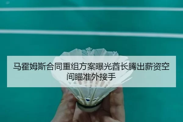 ma-huo-mu-si-he-tong-chong-zu-fang-an-bao-guang-qiu-zhang-teng-chu-xin-zi-kong-jian-miao-zhun-wai-jie-shou-2-393.jpg